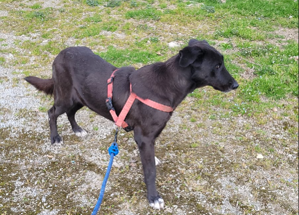BLACKY Foto 3
